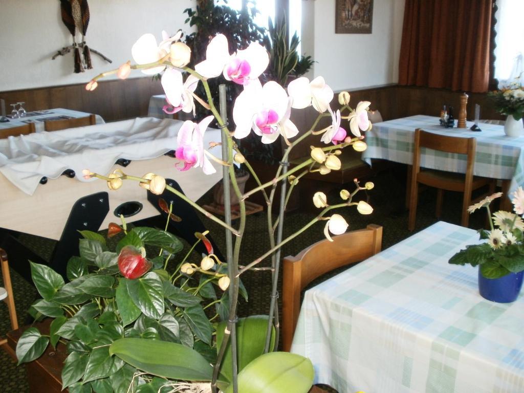 Hotel Pez Ault 迪森蒂斯 外观 照片